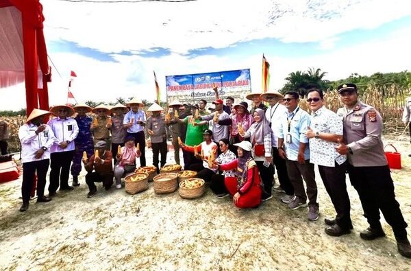 Panen Jagung 15 Ton, Bupati Pelalawan Puji Kapolda Riau Visioner